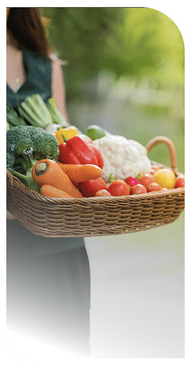Wicker Basket Filled With Fresh Garden Vegetables at an Independent Living Facility