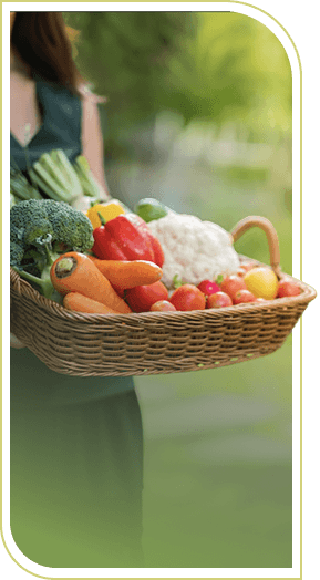 Wicker Basket Filled With Fresh Garden Vegetables at an Independent Living Facility