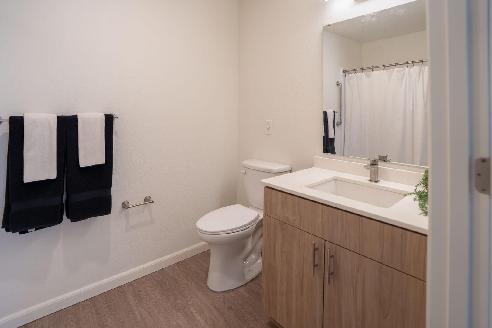 Clean Private Bathroom with Vanity and Walk-In Shower at an Independent Living Community