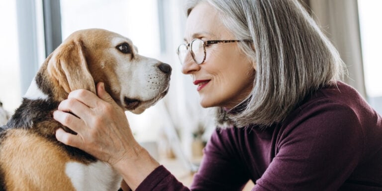 Elderly Woman Petting Beagle Dog in Independent Living Facility
